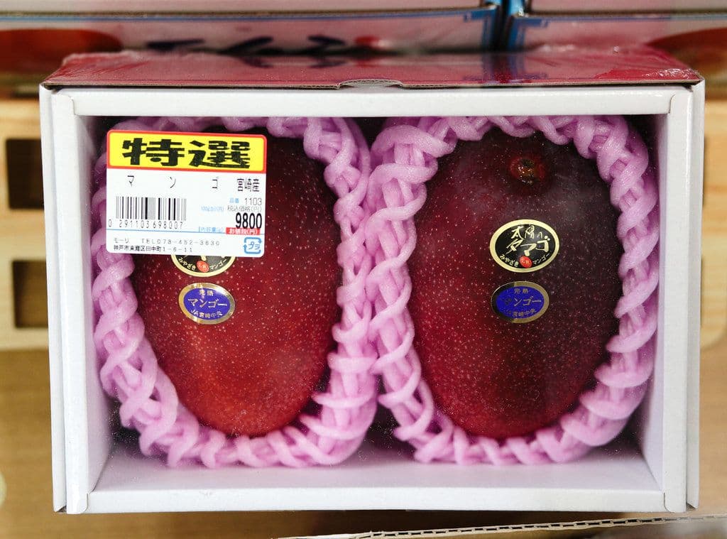 Miyazaki Mangoes